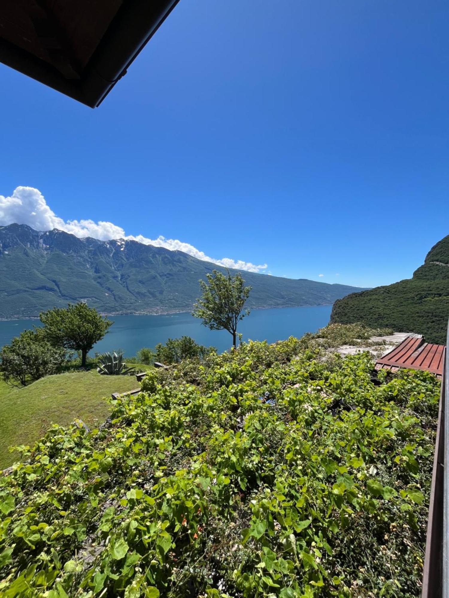Villa Selene Tremosine Номер фото